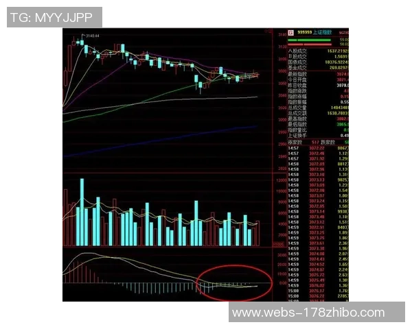 南京羽毛球队与杭州羽毛球队赛后复盘分析比赛节奏与战术对比